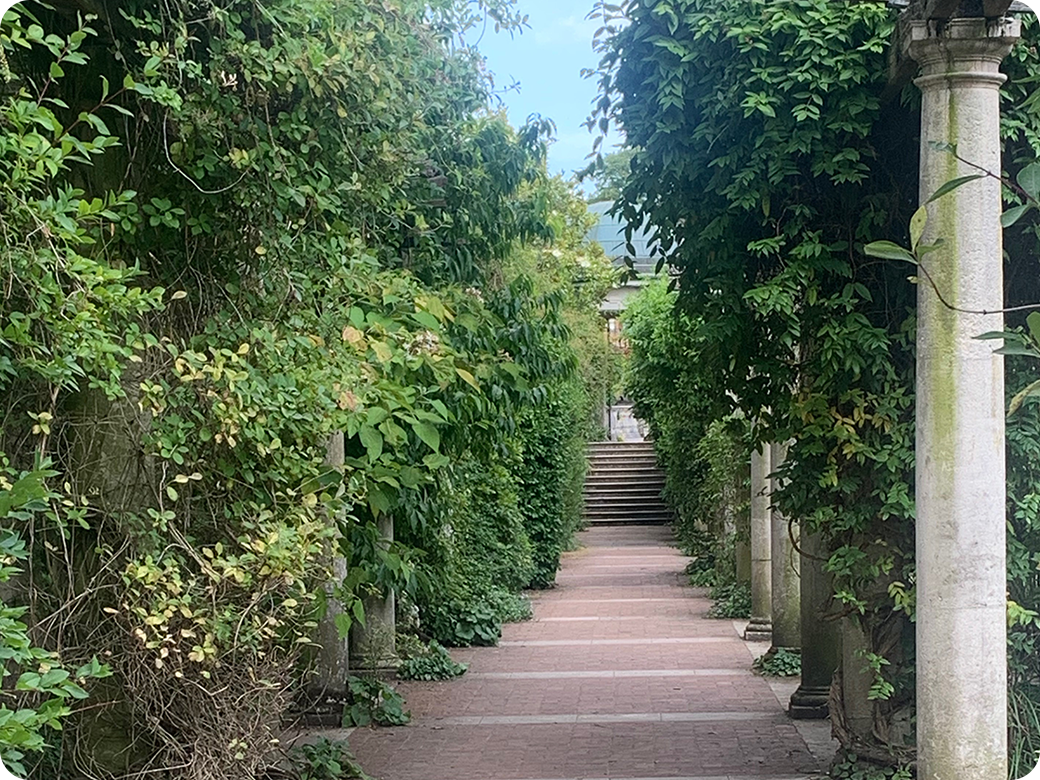 CAKEWALKの取り組み